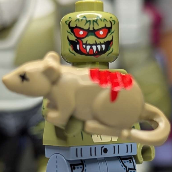 brick_asylum_customs